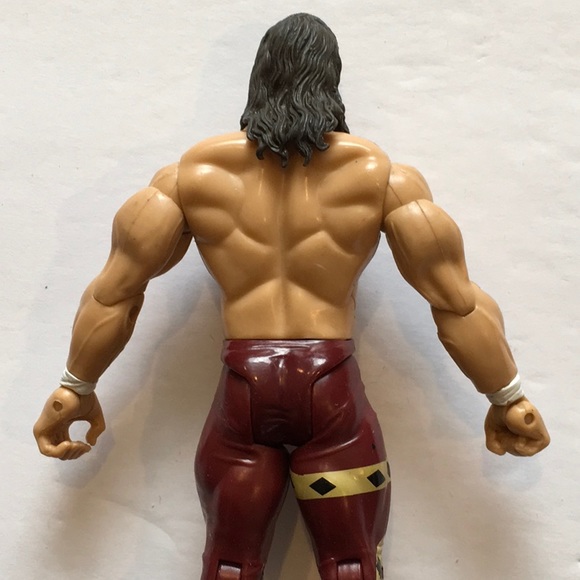 Jake ‘The Snake’ Roberts WWE Classic Superstars Series 3: 2003 Action Figure. - Picture 5 of 8